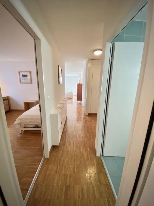 Apartment Your Bright And Spacious By The *